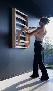 Pull-up / Dip Extension